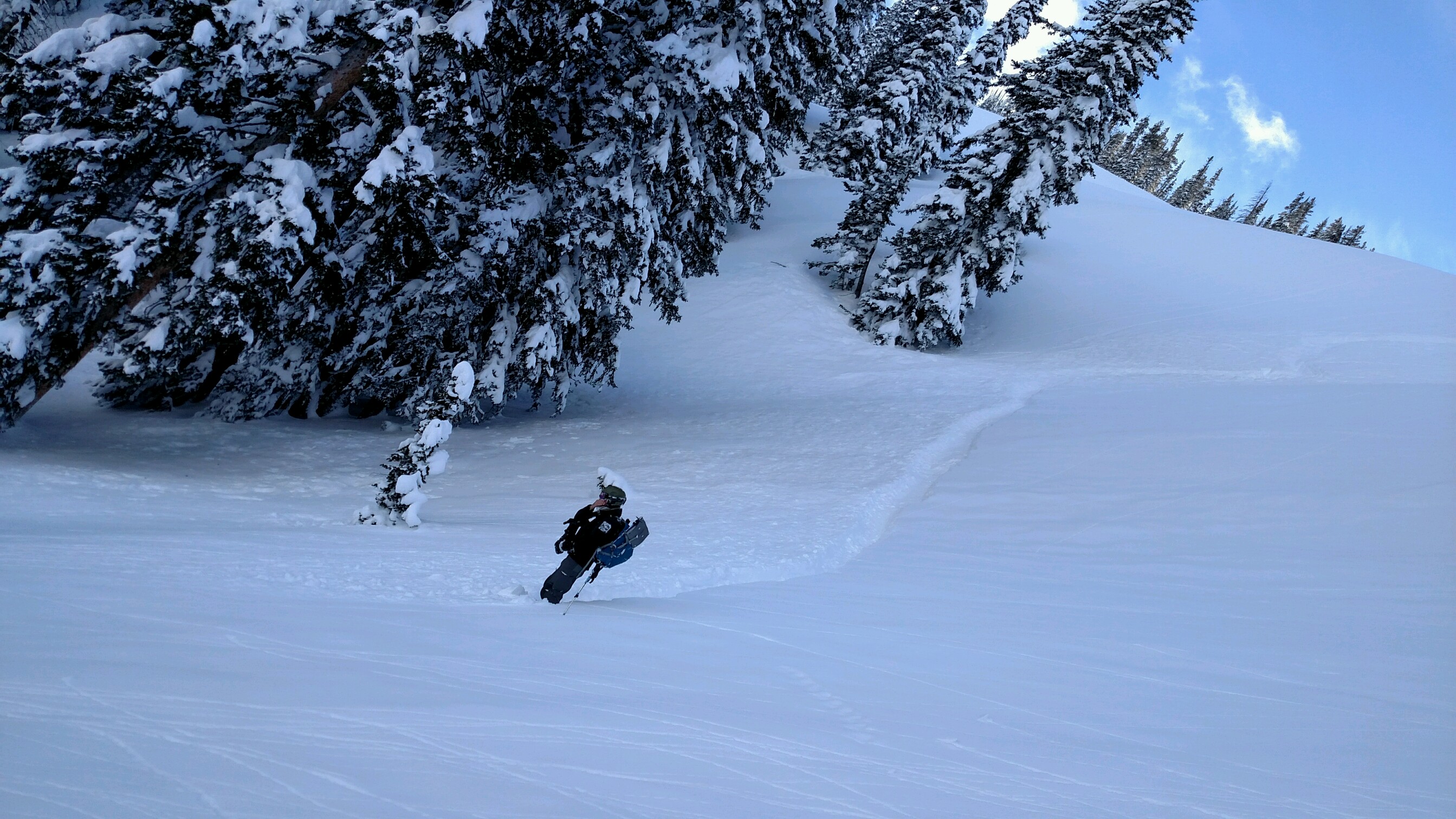 Logan Shaide CAP480 academic eportfolio